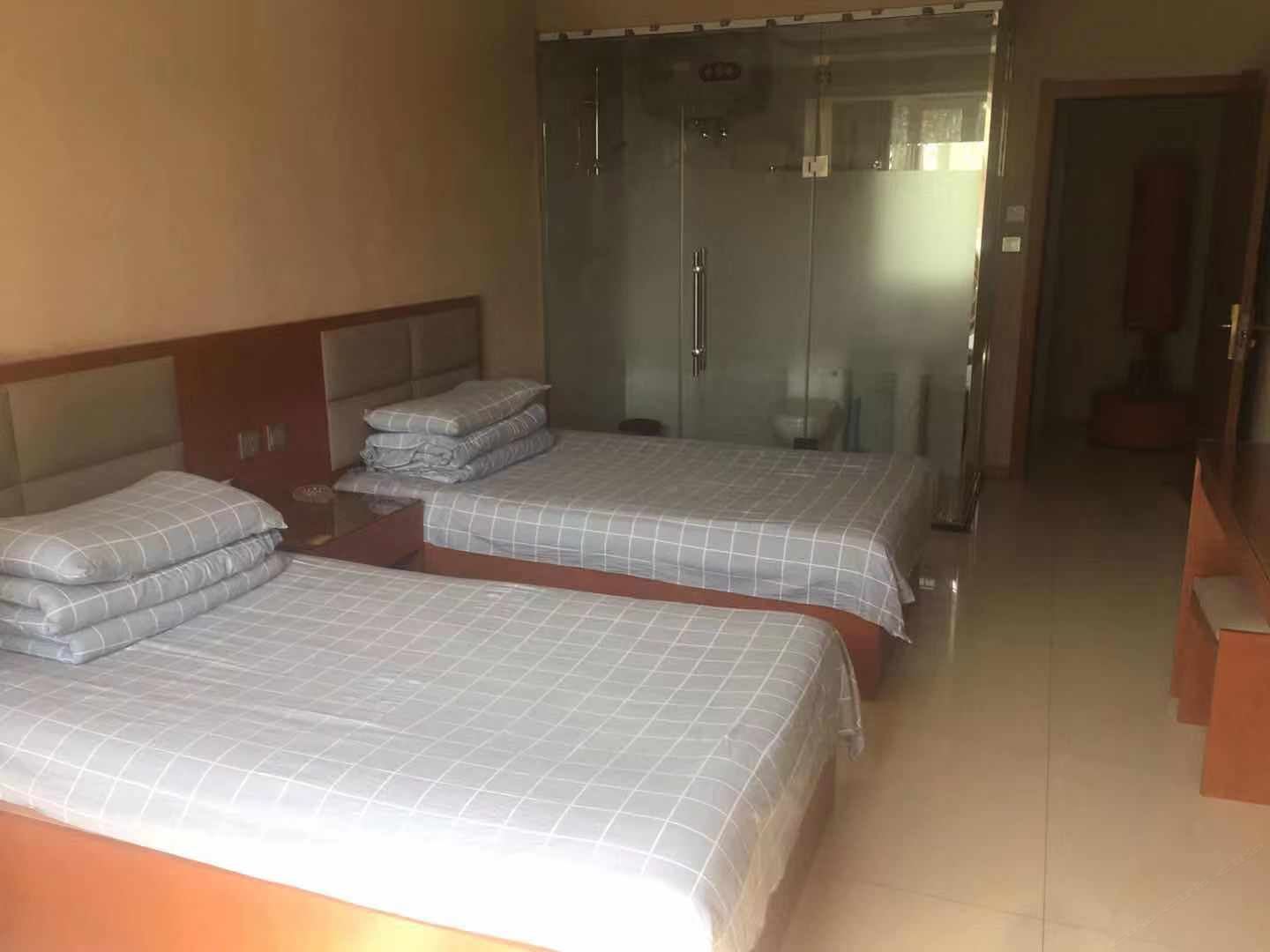 高级双床间