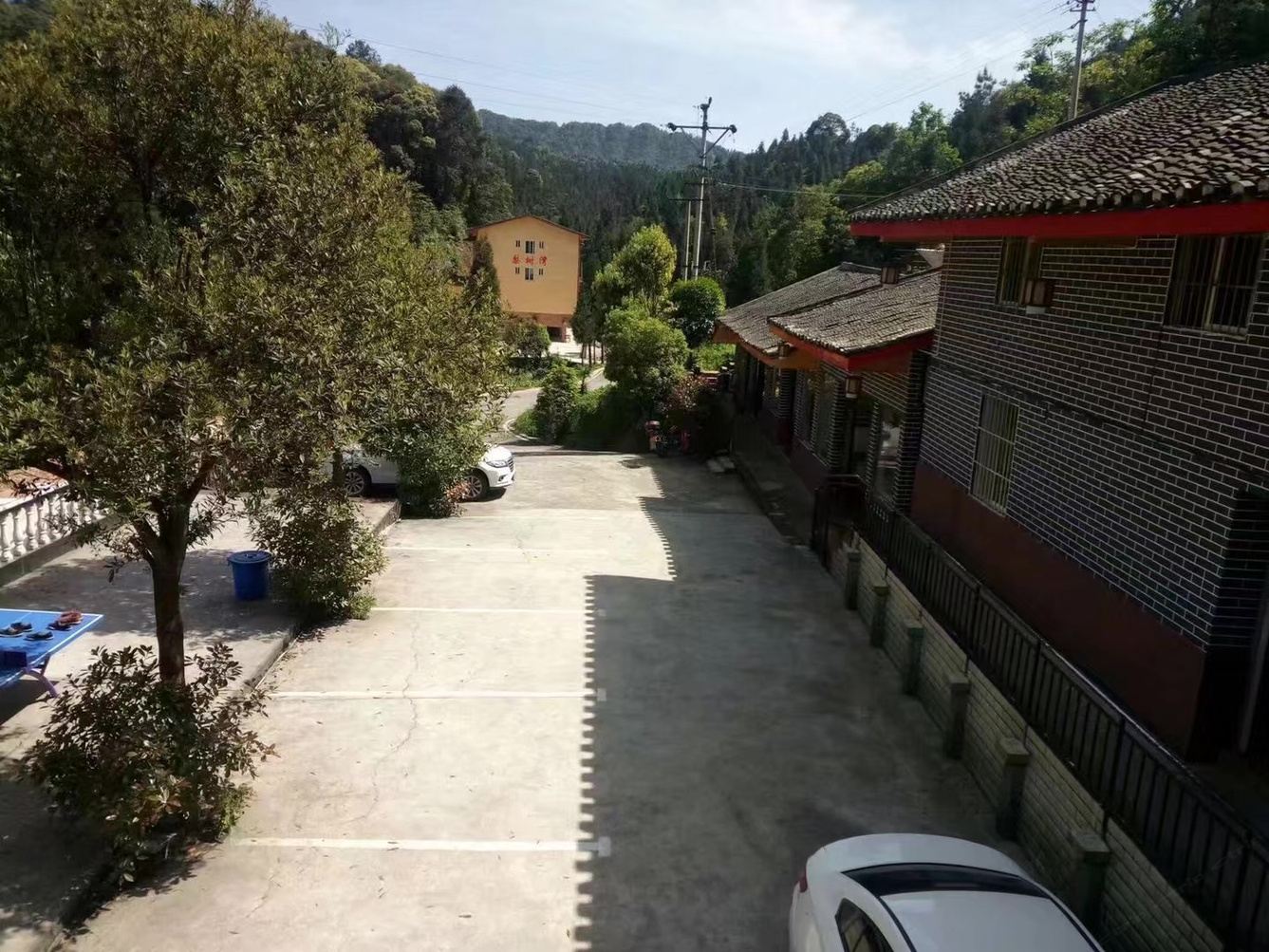 其他