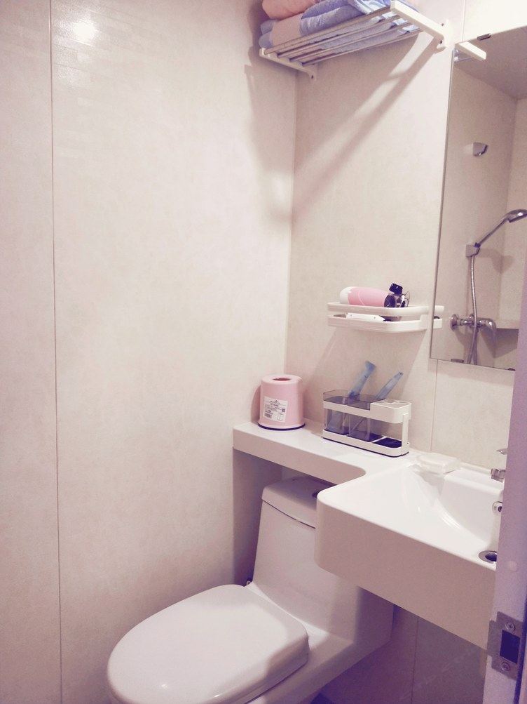 精致一室大床房