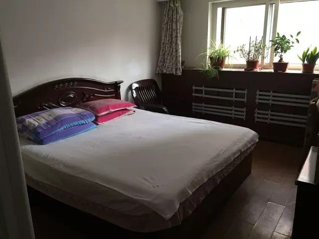 标准大床房