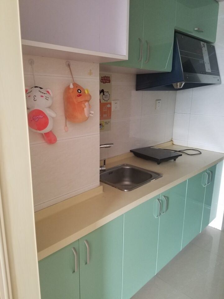精致精装一室一厅套房