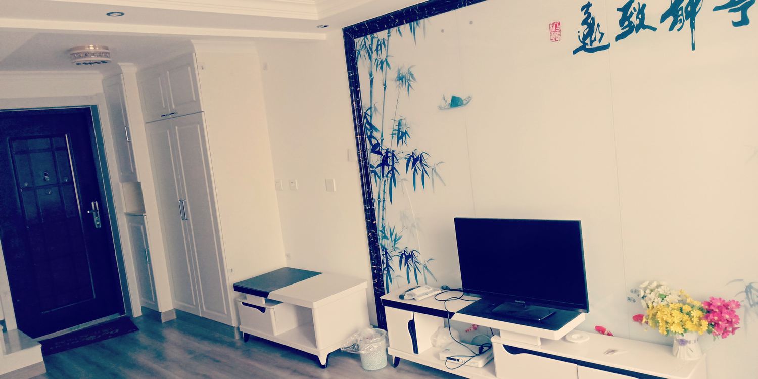 精致一室一厅套房