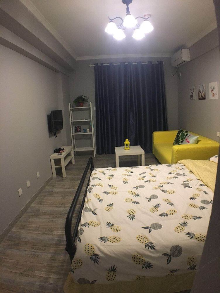 精致一室大床房