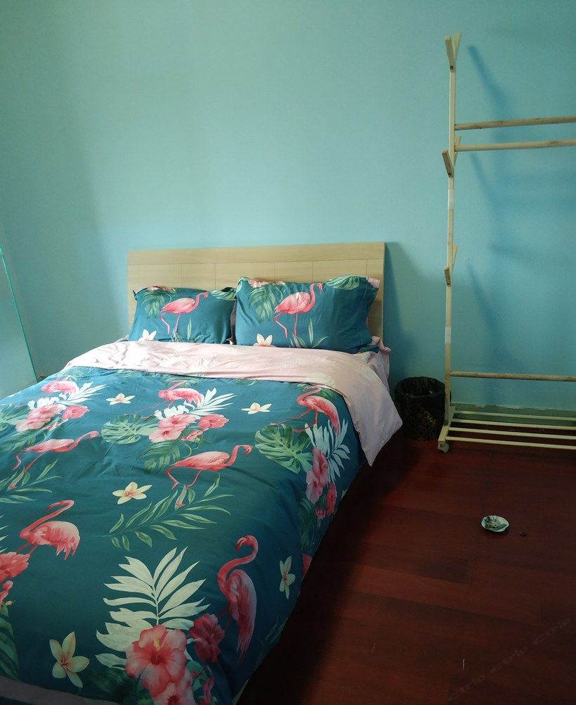 西安回民街口清新小屋两居室