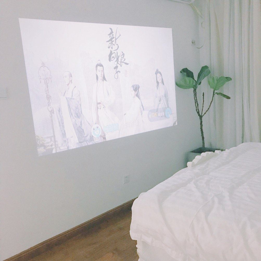 二室一厅套房