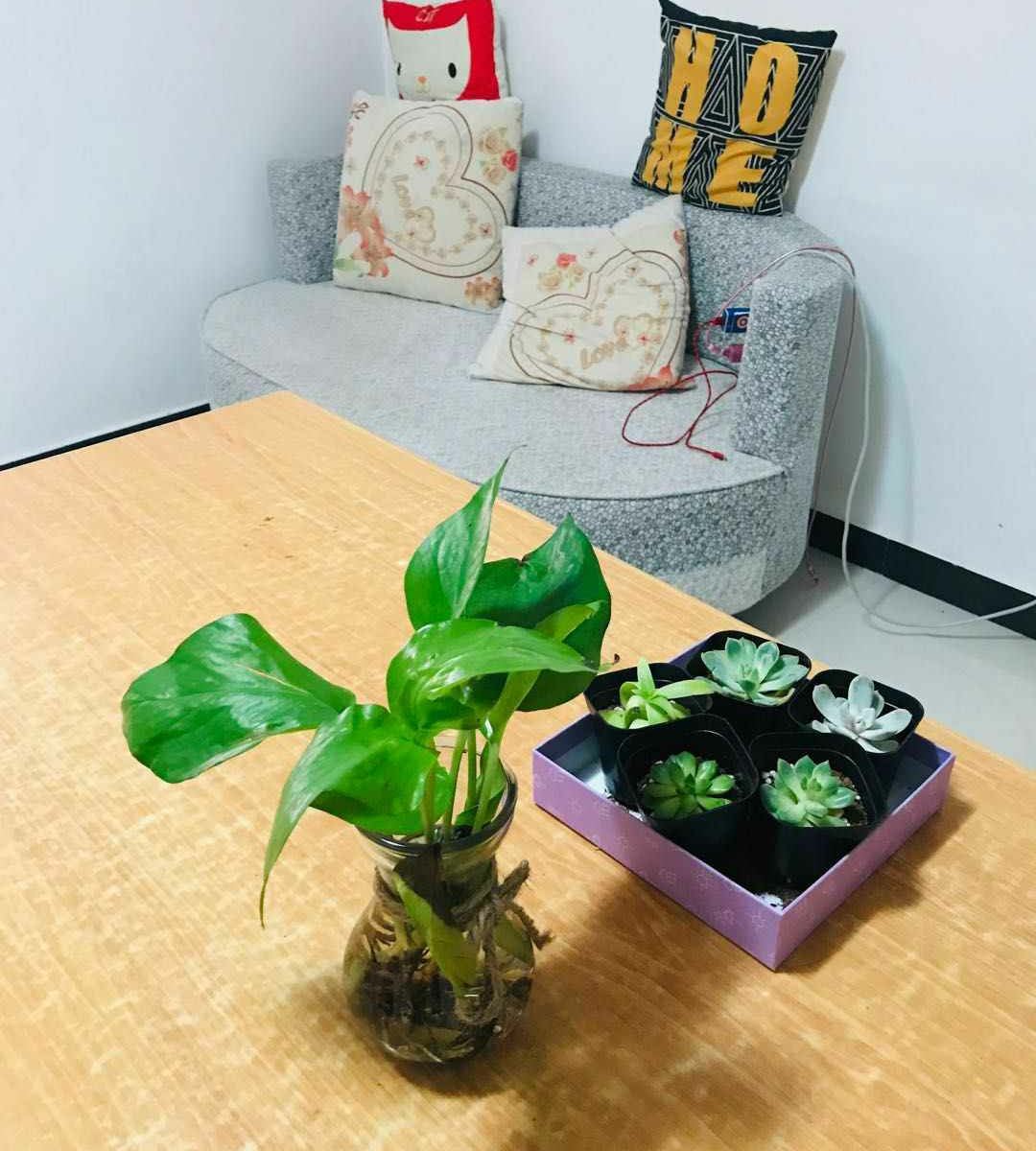 炫酷六人间