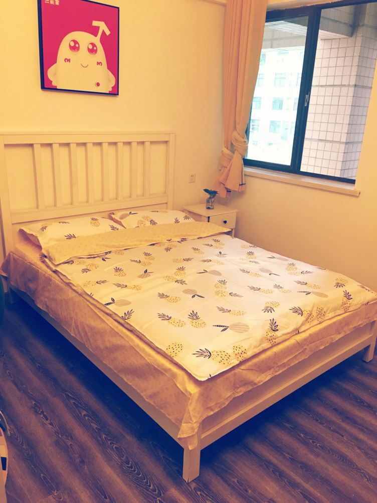 西安雪糕是只猫公寓(6号店)