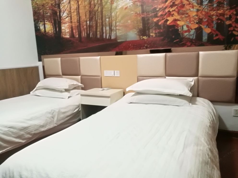 标准双人房