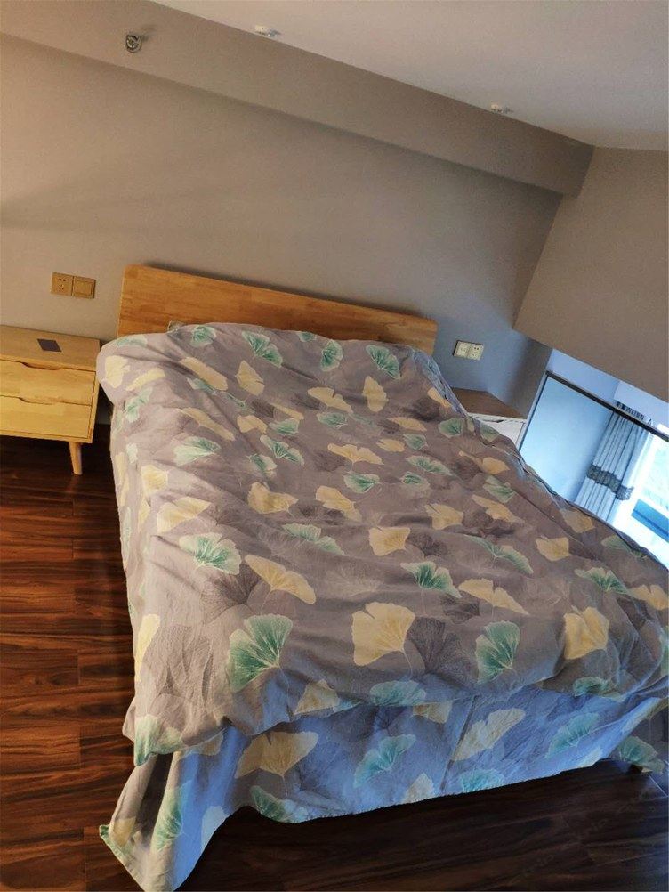 loft一室一厅套房