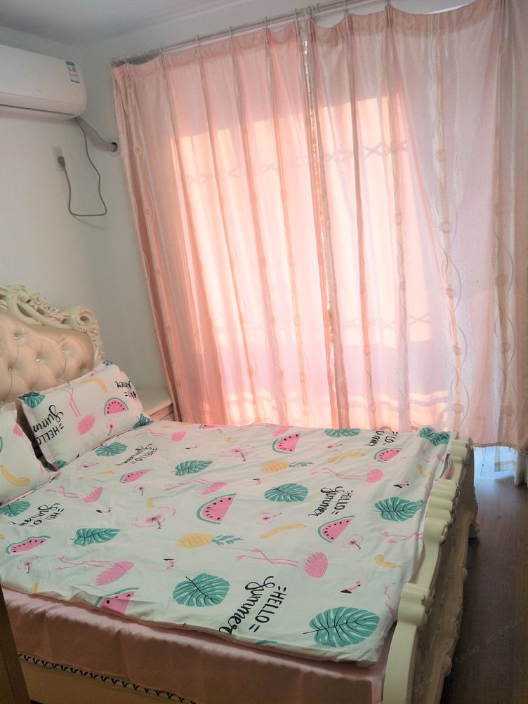清新二室二厅套房