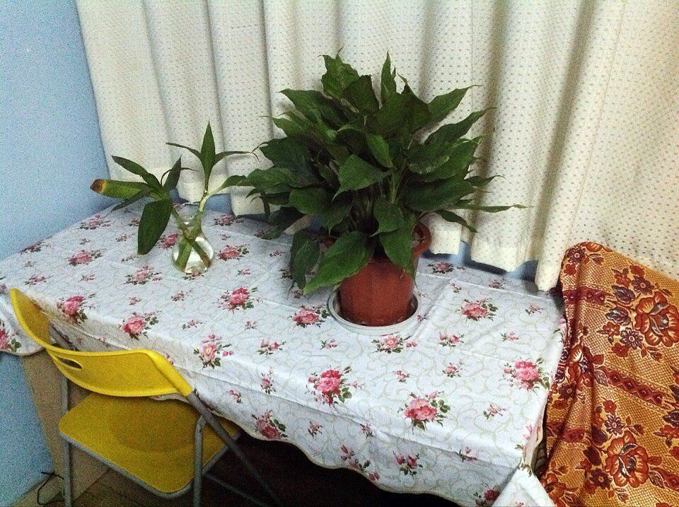 浪漫大床房