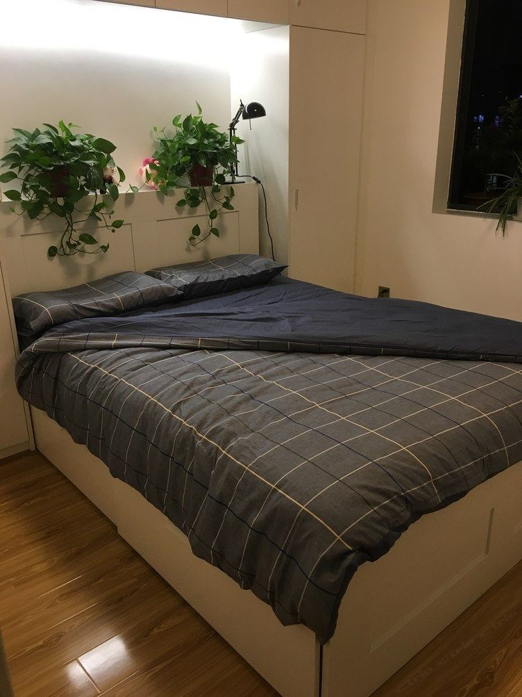 成都绿萝小屋