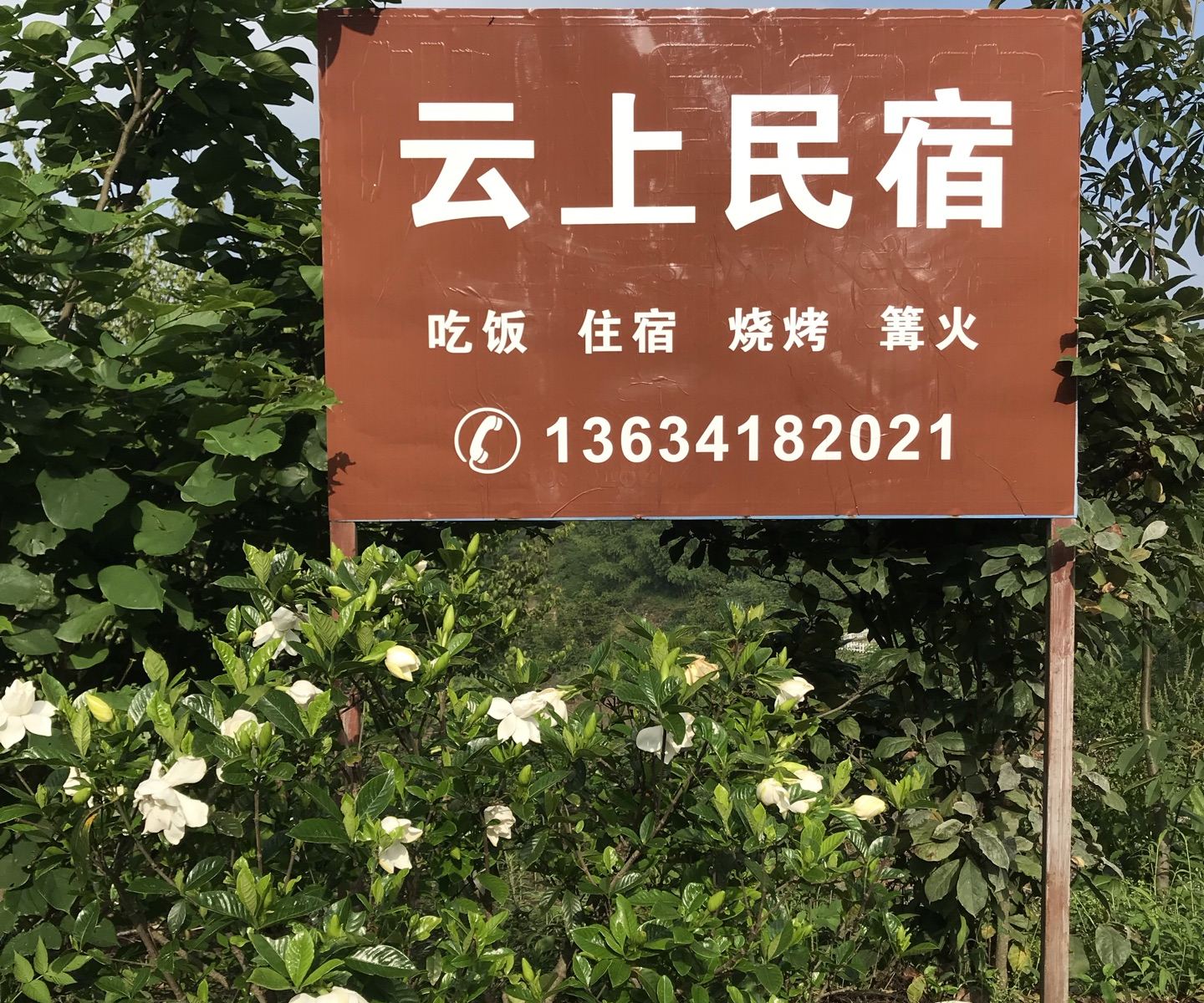 其他