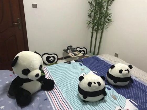 大熊猫观影房(公卫)