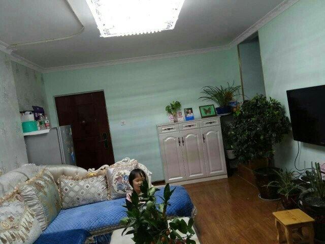 标准大床房(无窗)