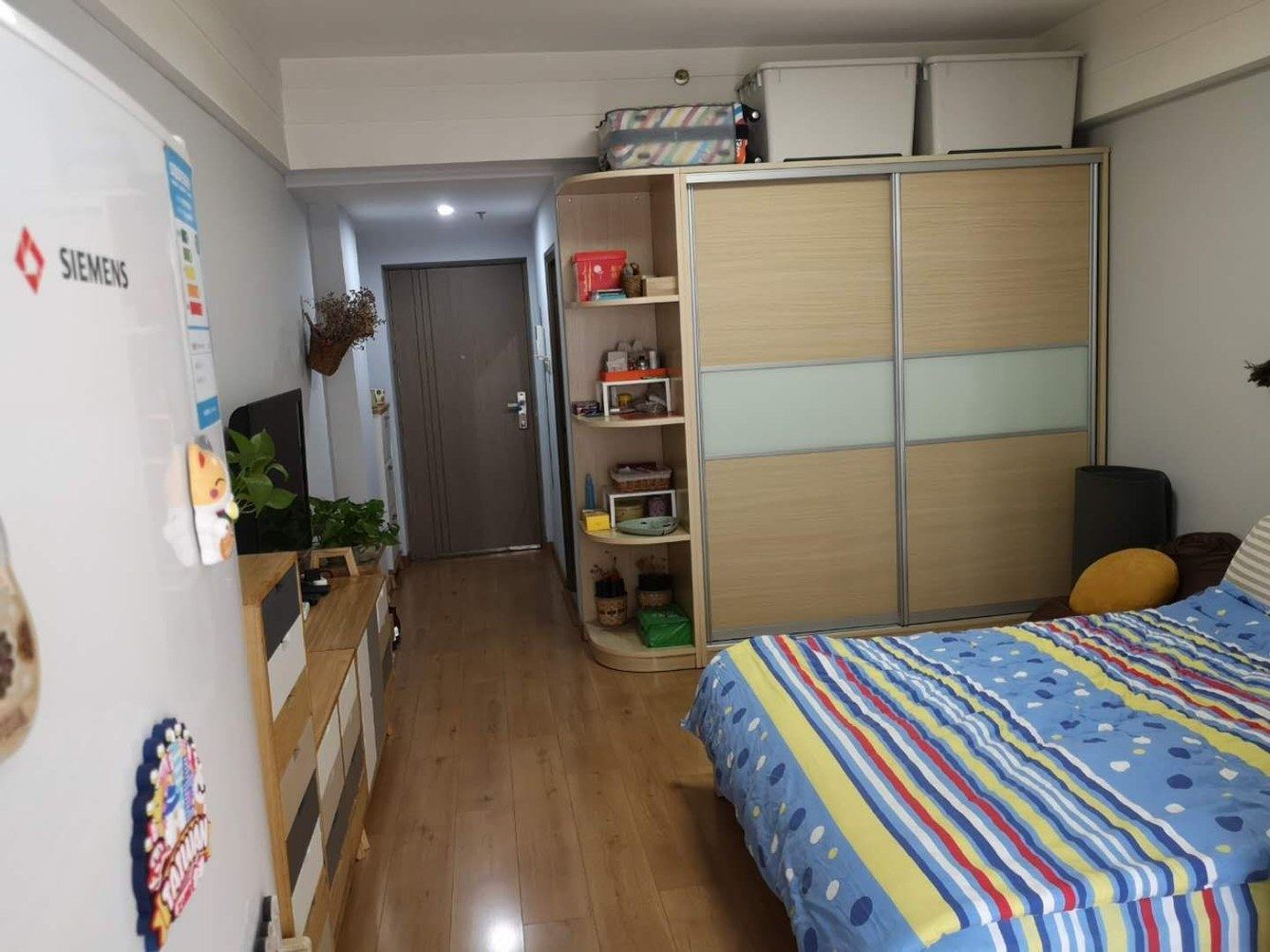 现代风一室大床房
