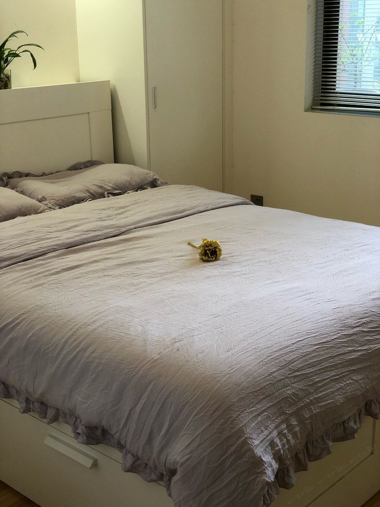 成都绿箩小屋