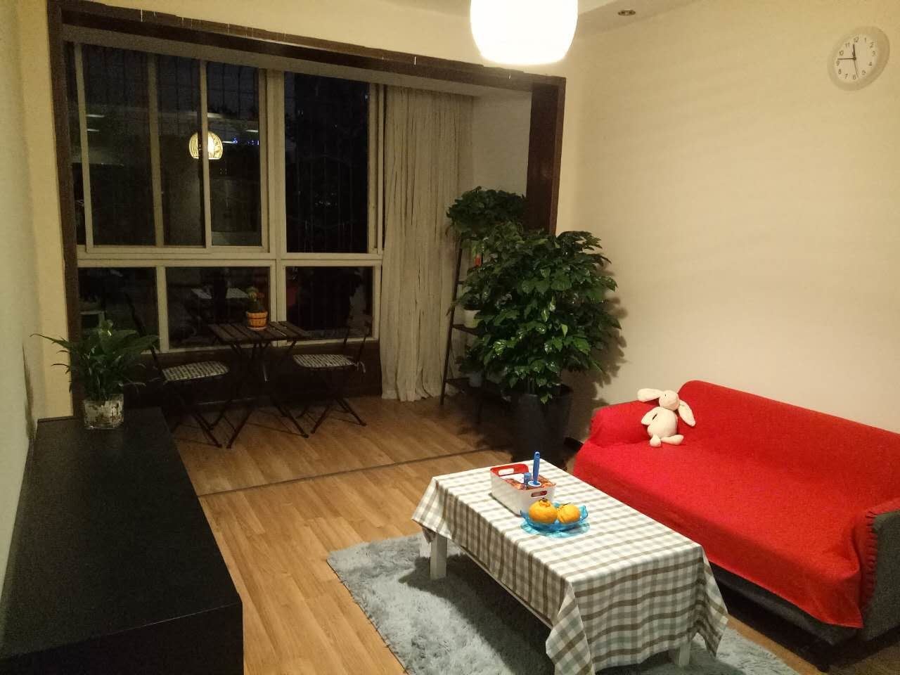 舒适一居室