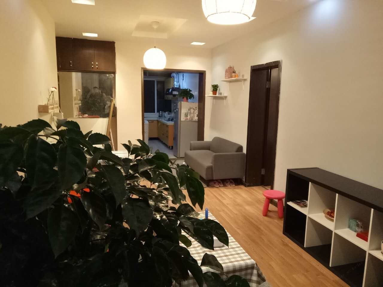 舒适一居室