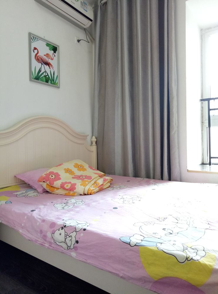 成都王学彬公寓(2号店)