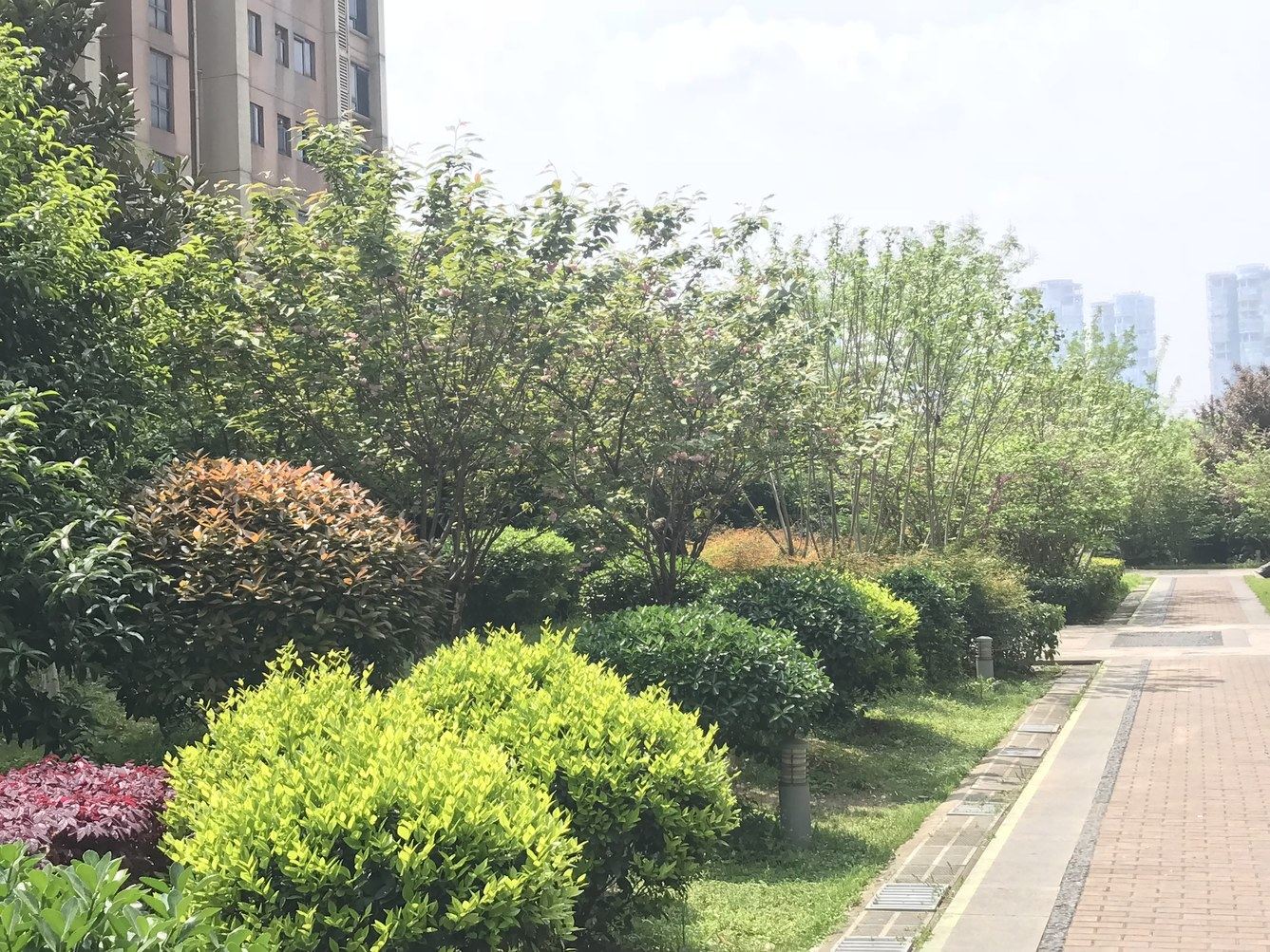 长沙七月树公寓