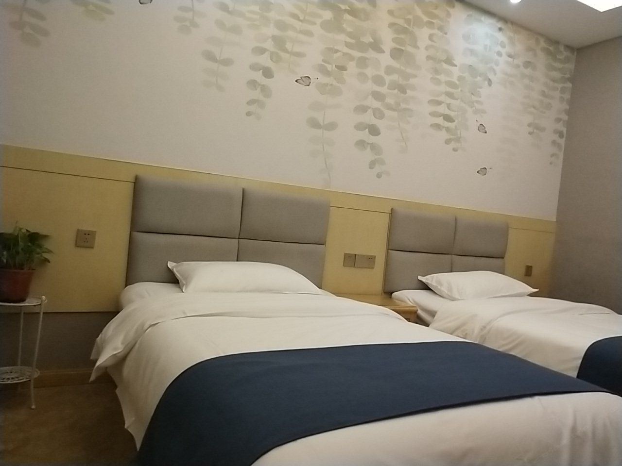 经济标间(无窗)