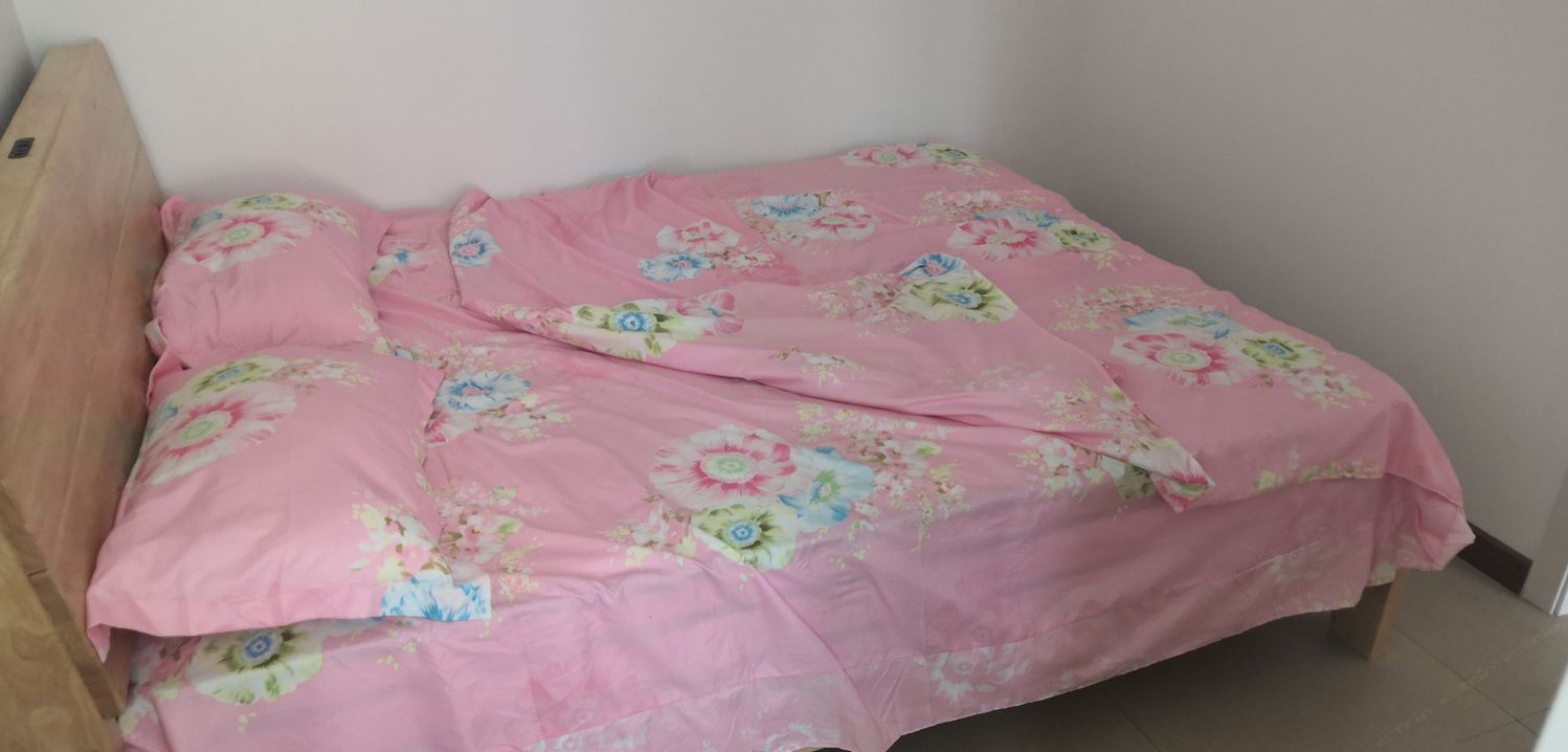 重庆二手熊猫公寓(5号店)