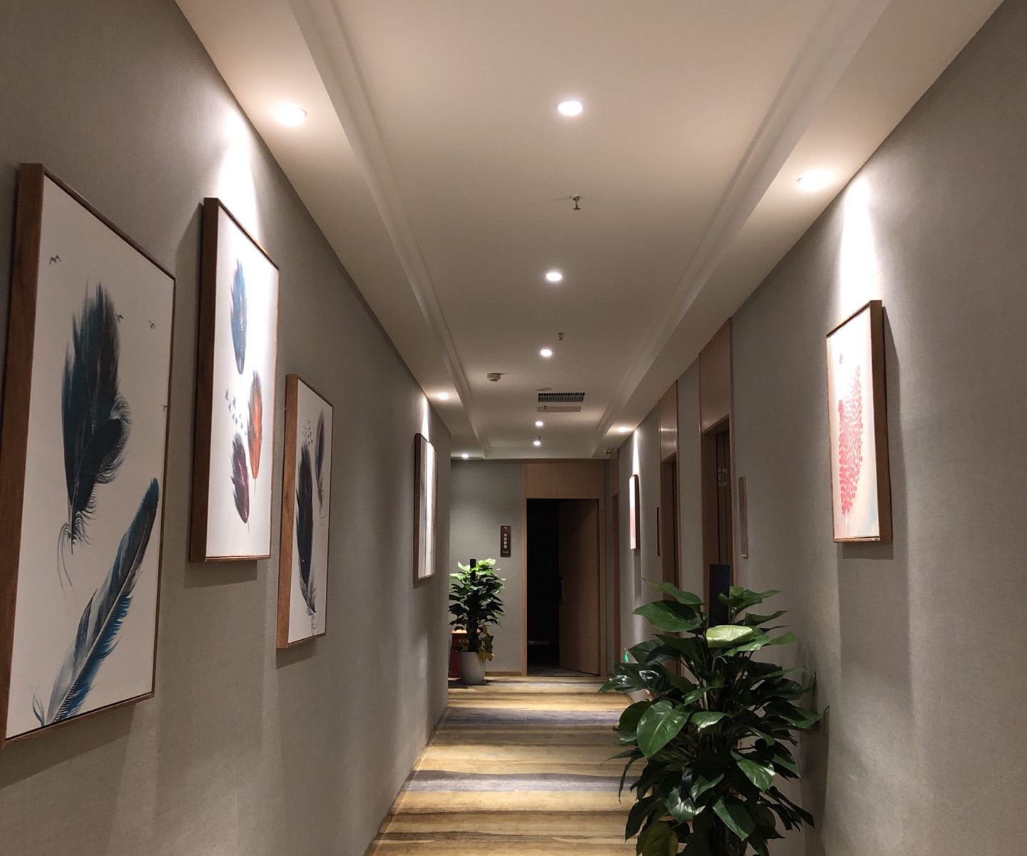 高级大床房