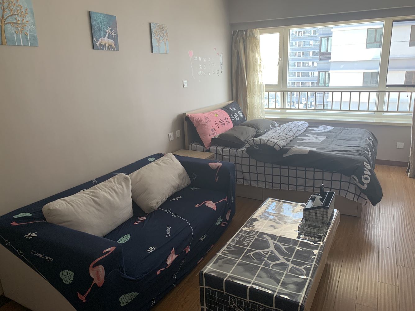 精致一室大床房