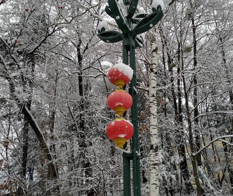 观景豪华套房