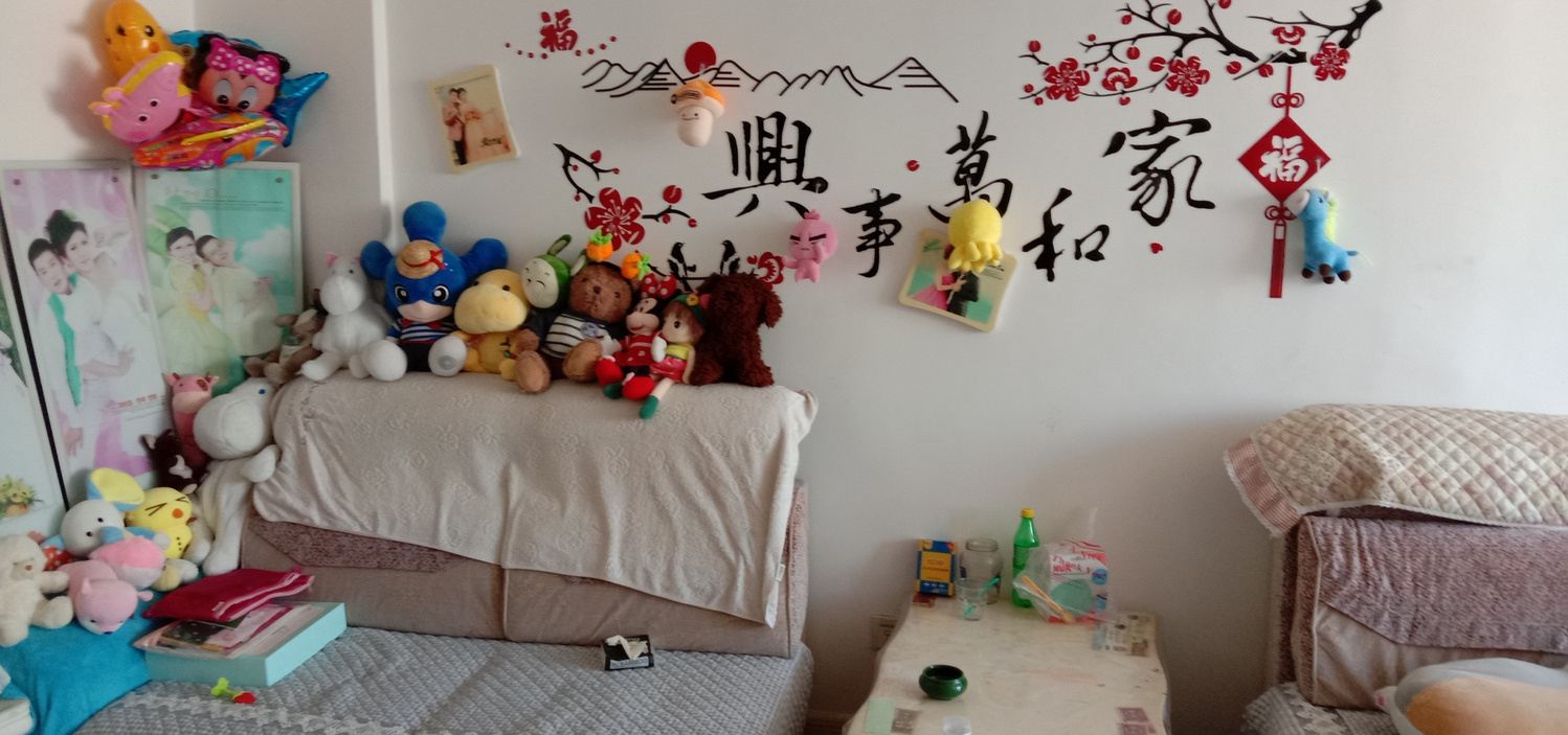 家庭一室一厅套房