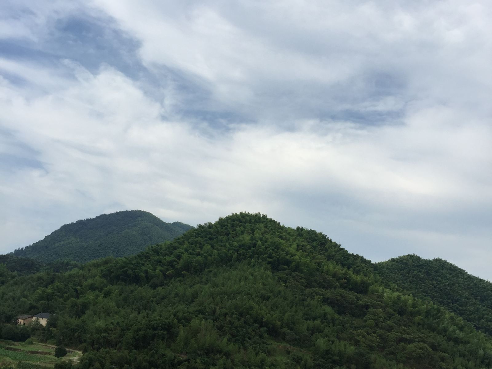 阳光山景大床房