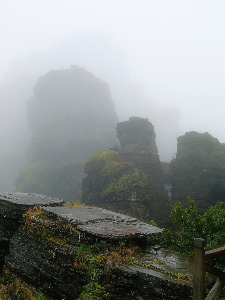  贵州铜仁 梵净山2日游>含景区门票,环保车,往返索道,世界遗产梵净山