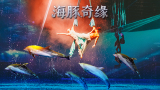 上海海昌海洋公园