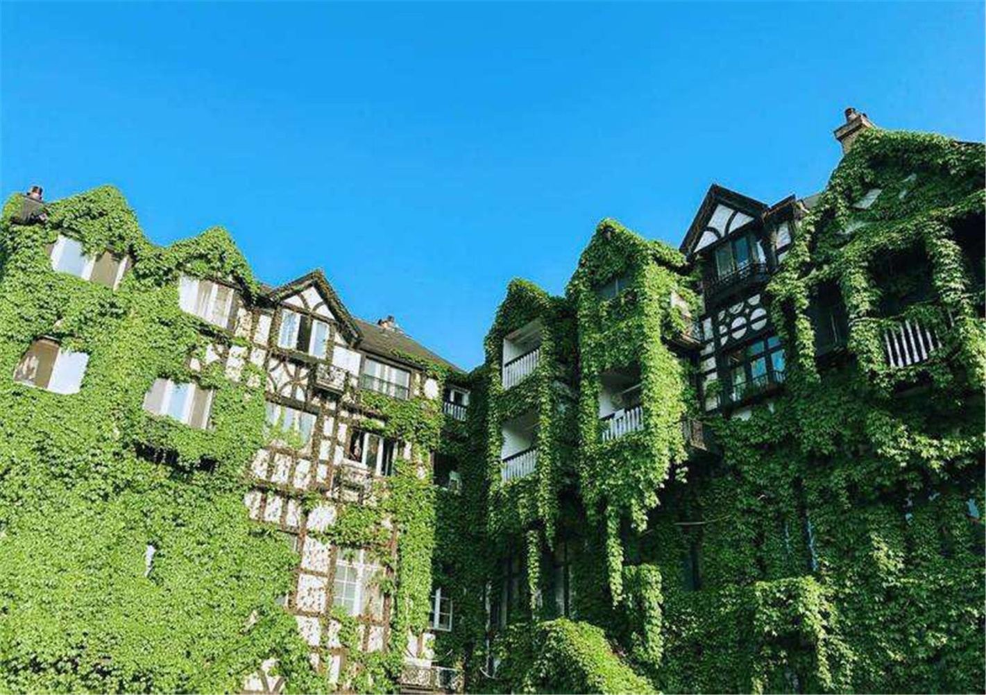 上海英伦风清新民宿(19号店)