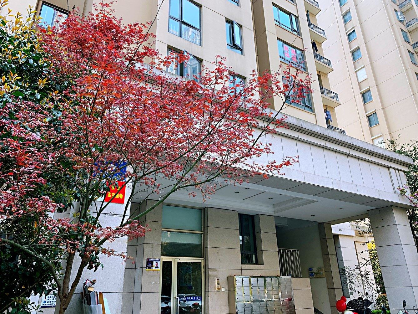无锡俊元公寓(2号店)