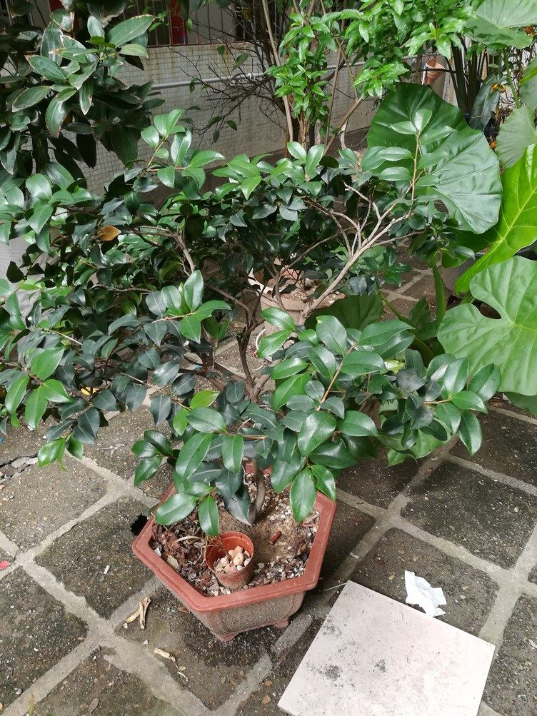 南昌惠生活普通公寓