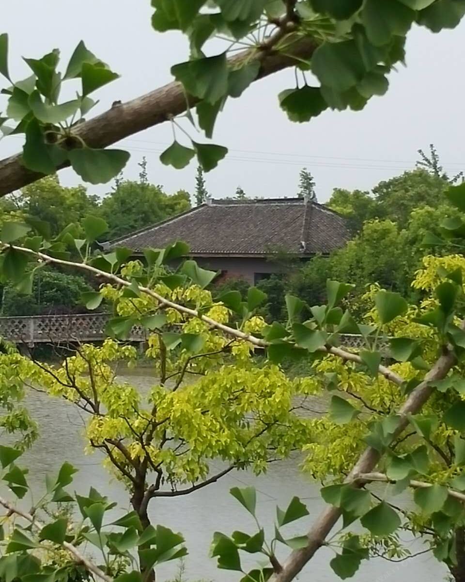 上海西水三梦生态农庄