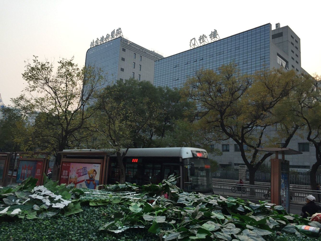 北京查理一世普通公寓