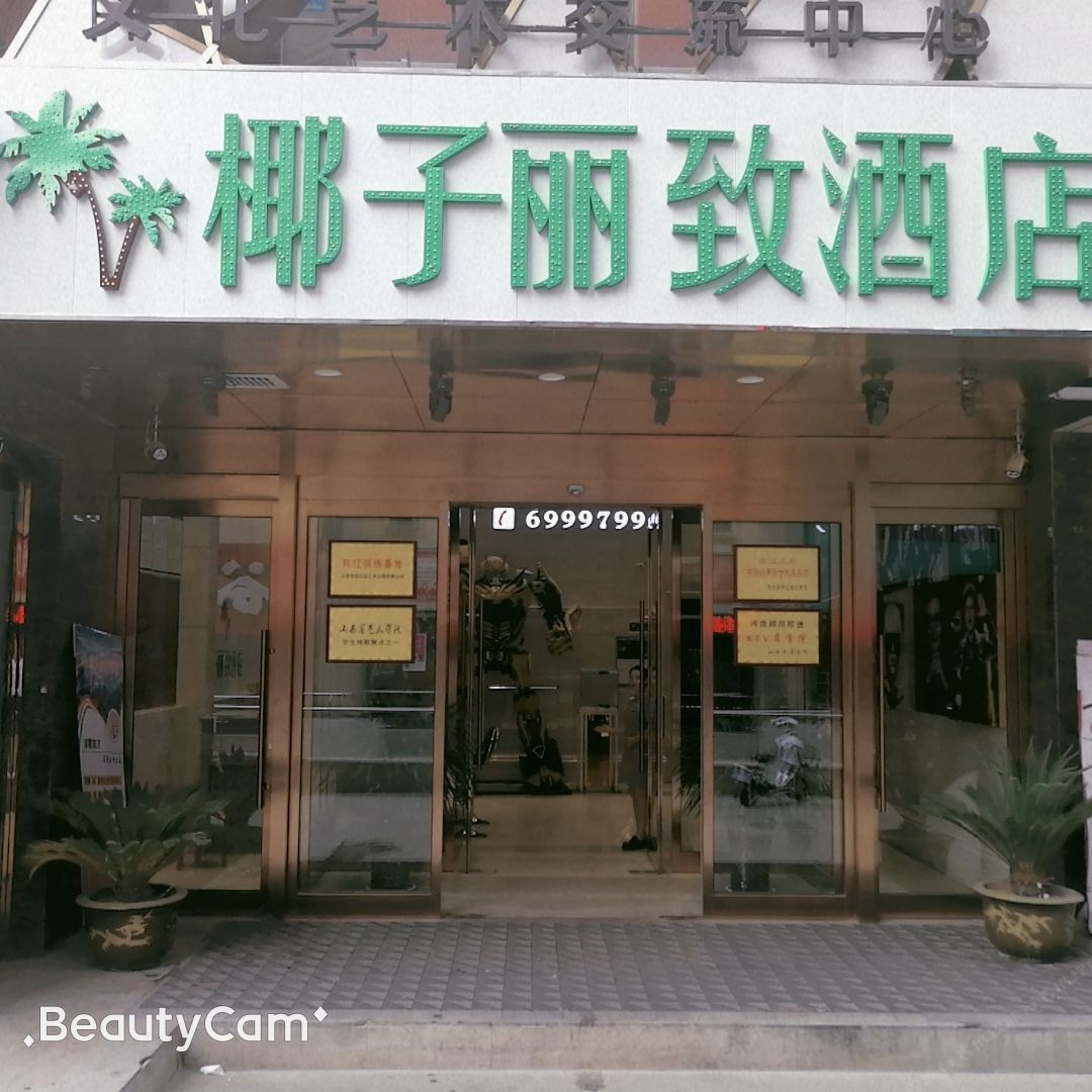 椰子丽致酒店(太原长治路店)