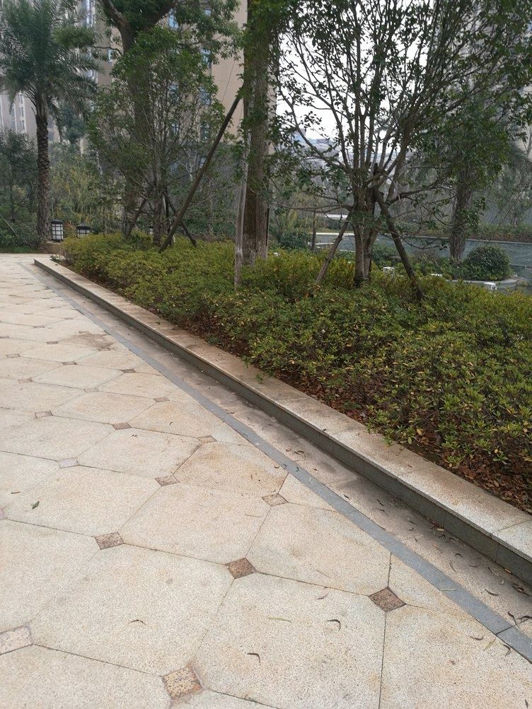 武汉我爱张颖公寓