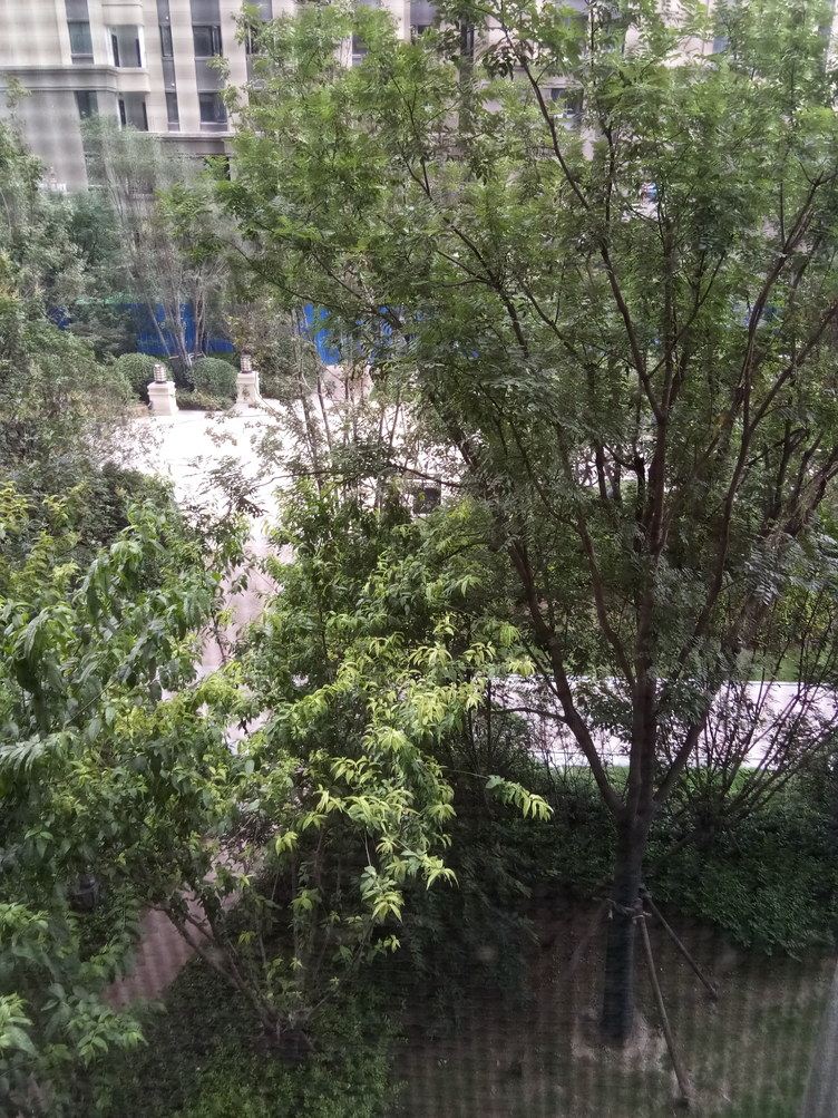 郑州陈晓闪公寓
