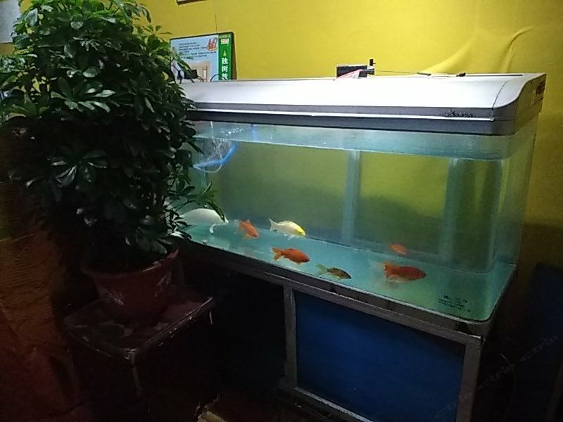 新新宾馆(郑州东三街店)