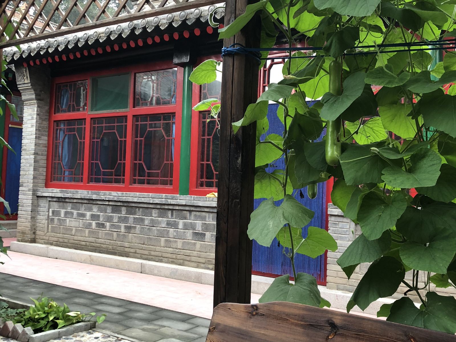 八达岭长城松林客栈