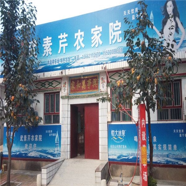 天津武素芹农家院