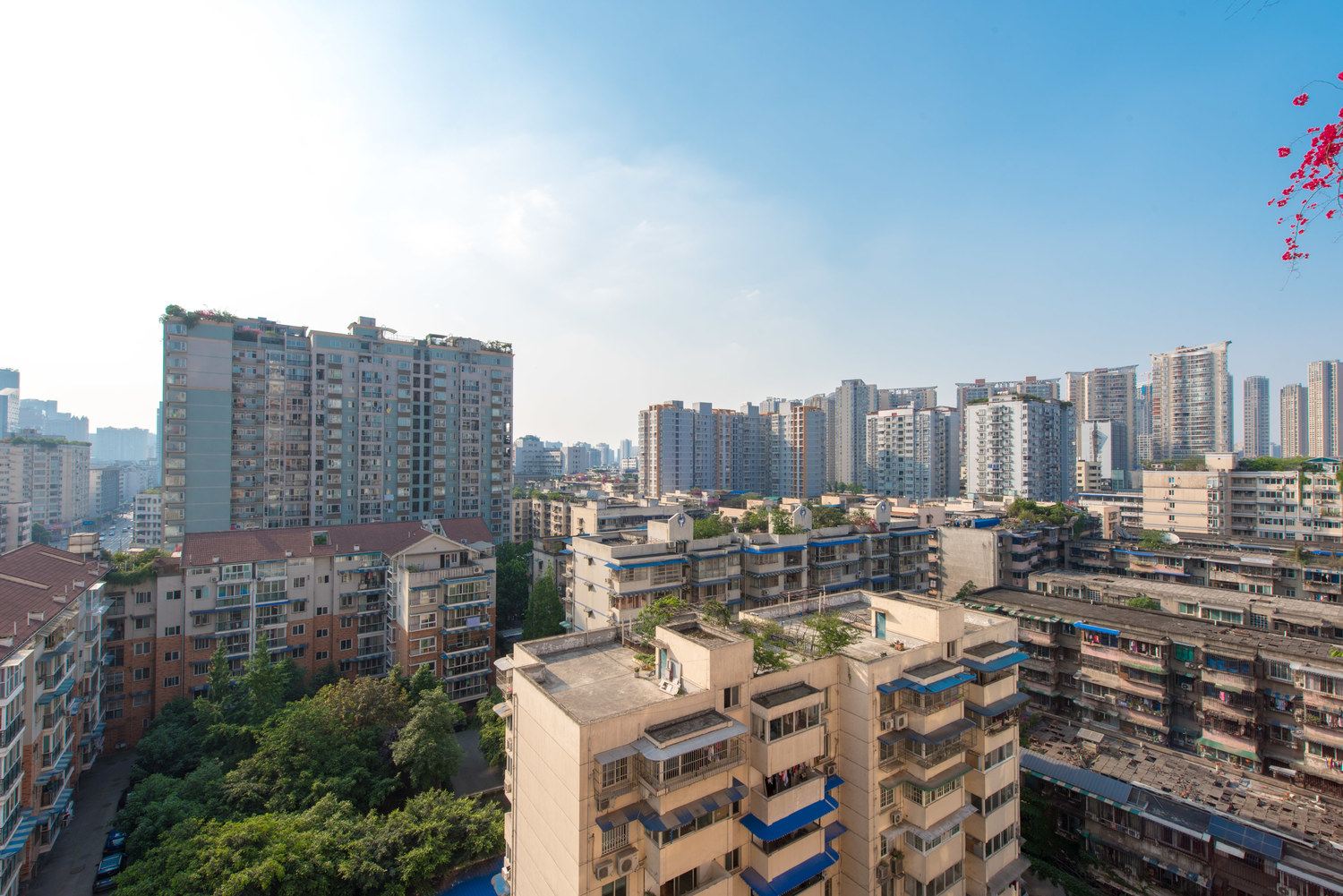 成都张帅帅的家普通公寓