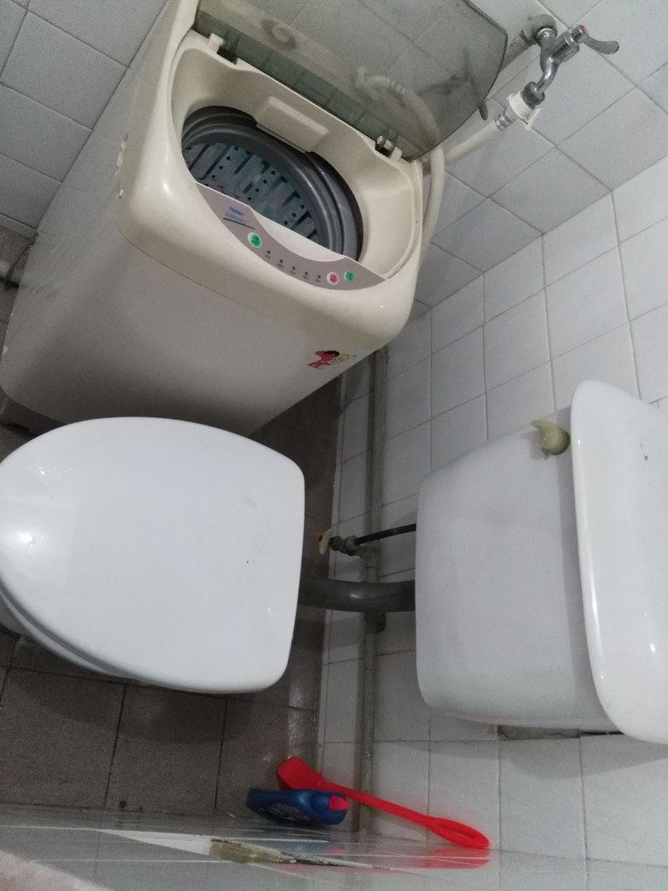上海猫妈的家普通公寓