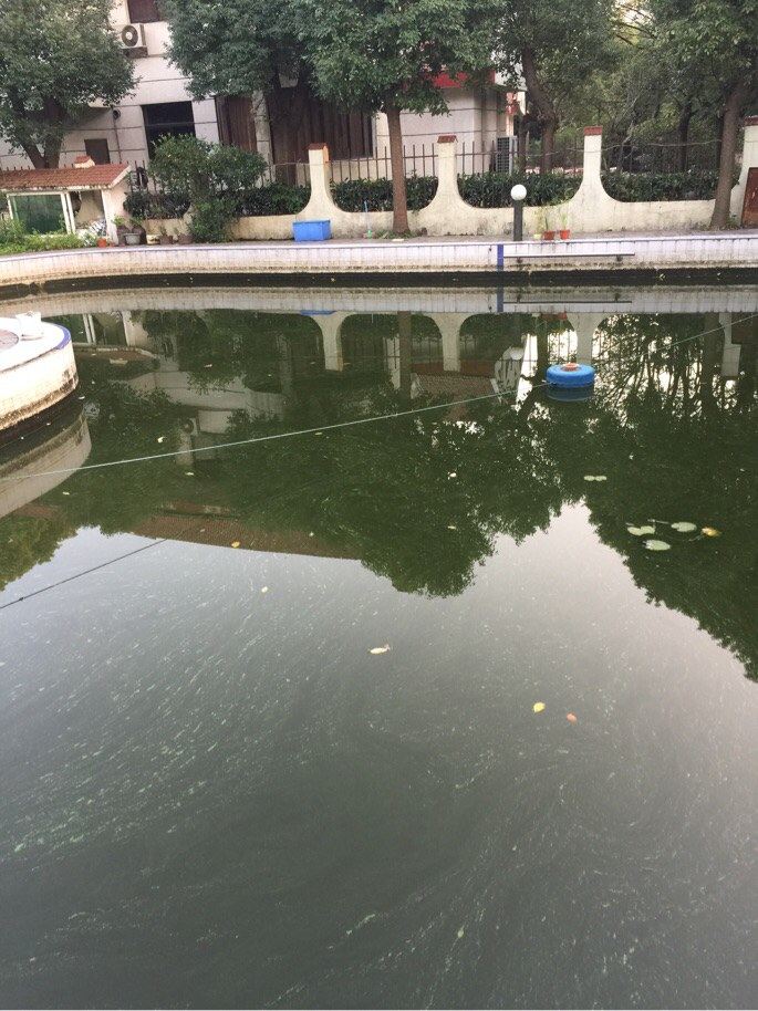 昆山君儿爱青别墅