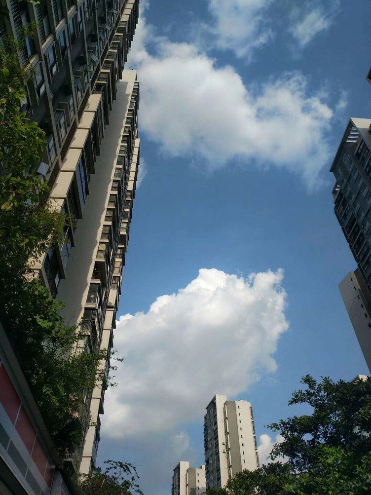 成都寒舍小屋(滨江路分店)