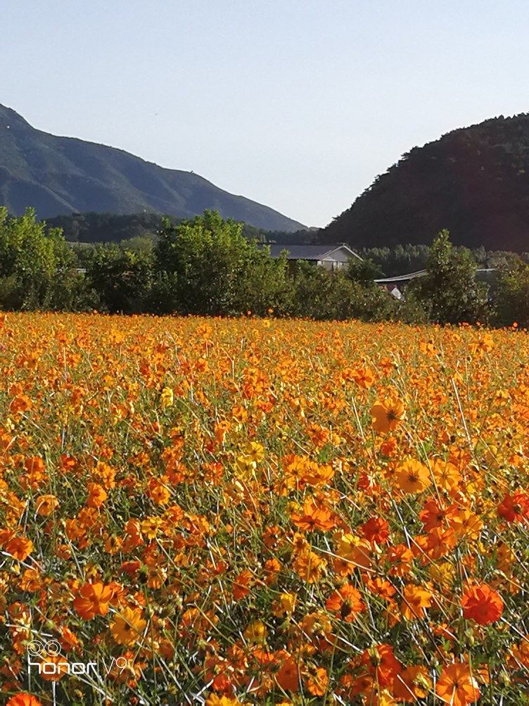 北京山山小院